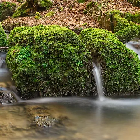 Landgasthof Hieren Muehle 3* Ney