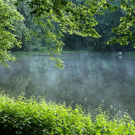 בית הארחה Landgasthof Hieren Muehle Ney