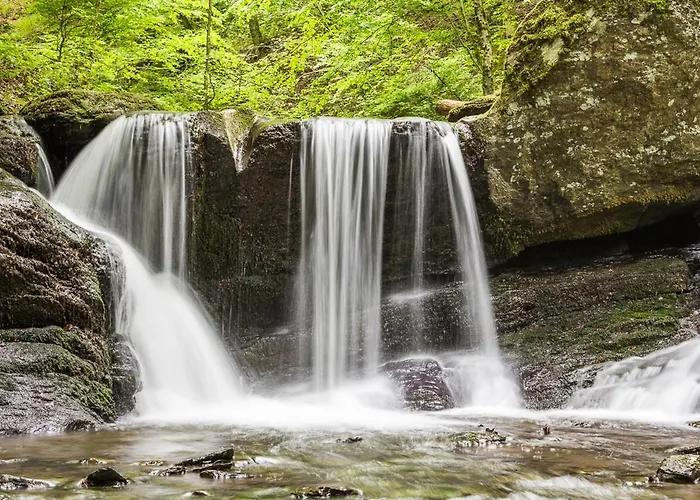 Landgasthof Hieren Muehle 招待所