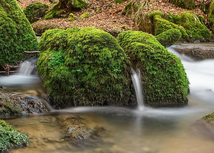 Landgasthof Hieren Muehle 3* Ney