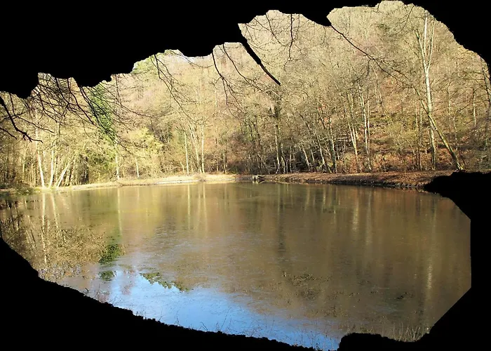 招待所 Landgasthof Hieren Muehle